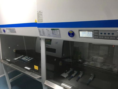 兰州市首家移动方舱 PCR 实验室在安宁区建成运营